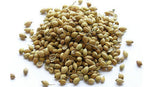 Coriander Seeds Spice - Sausages Made Simple